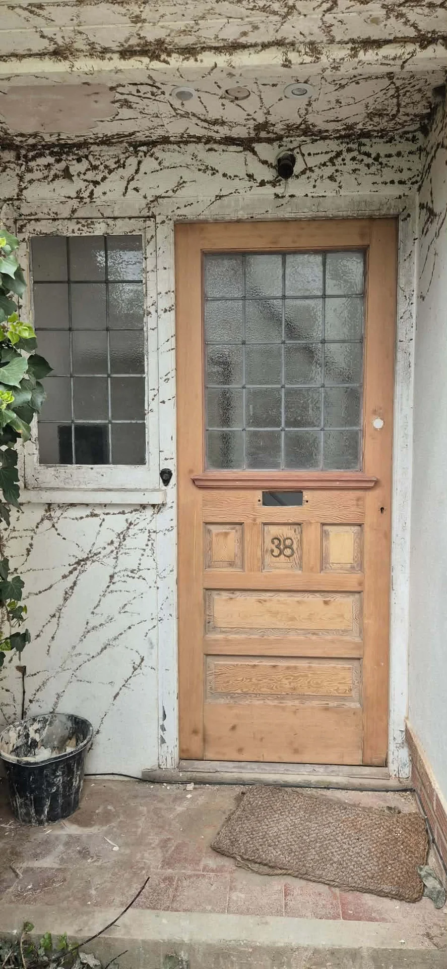 Exterior Doors stripped by Global Door Stripping