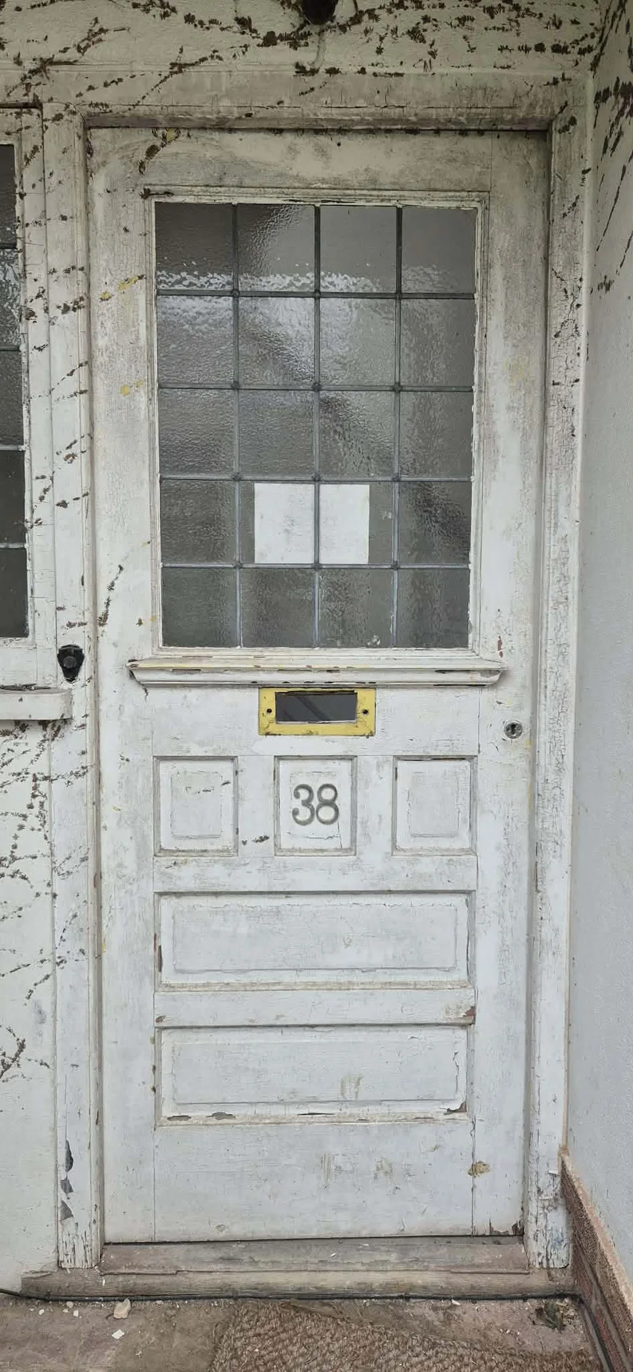 Exterior Doors stripped by Global Door Stripping