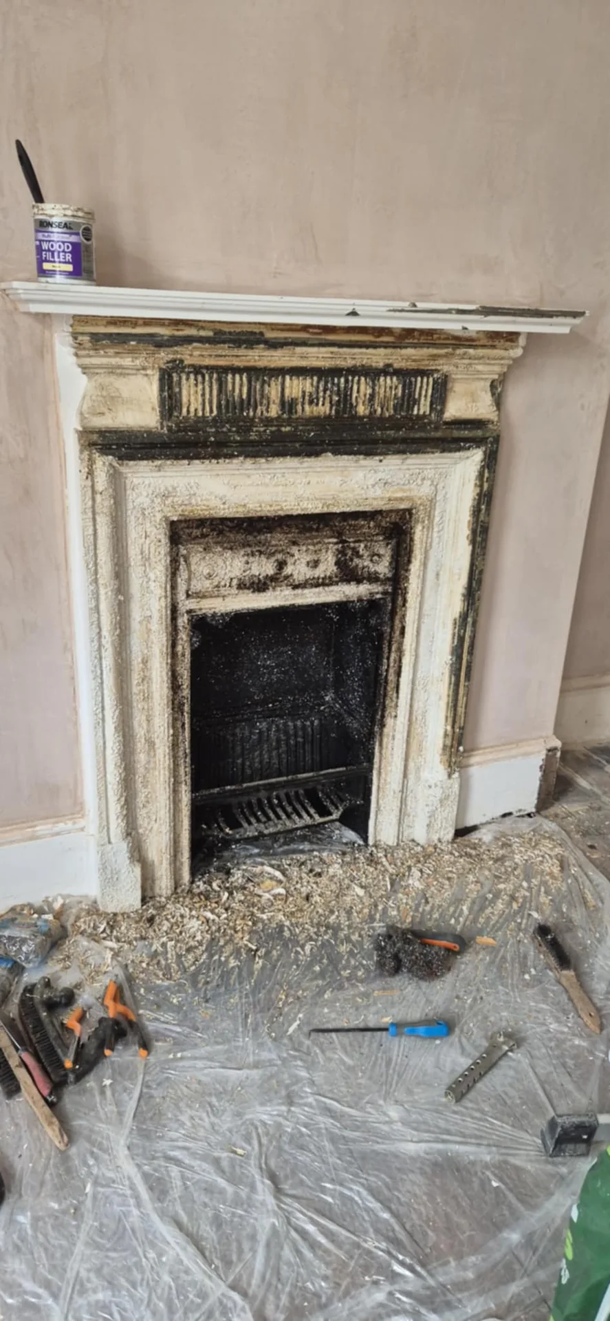 Onsite Stripping stripped by Global Door Stripping
