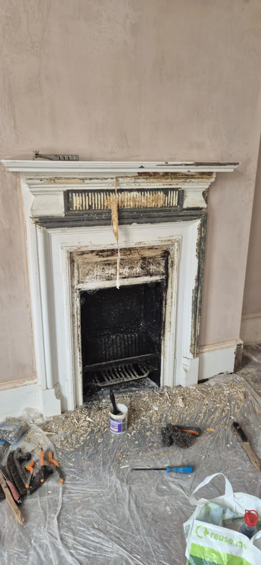 Onsite Stripping stripped by Global Door Stripping