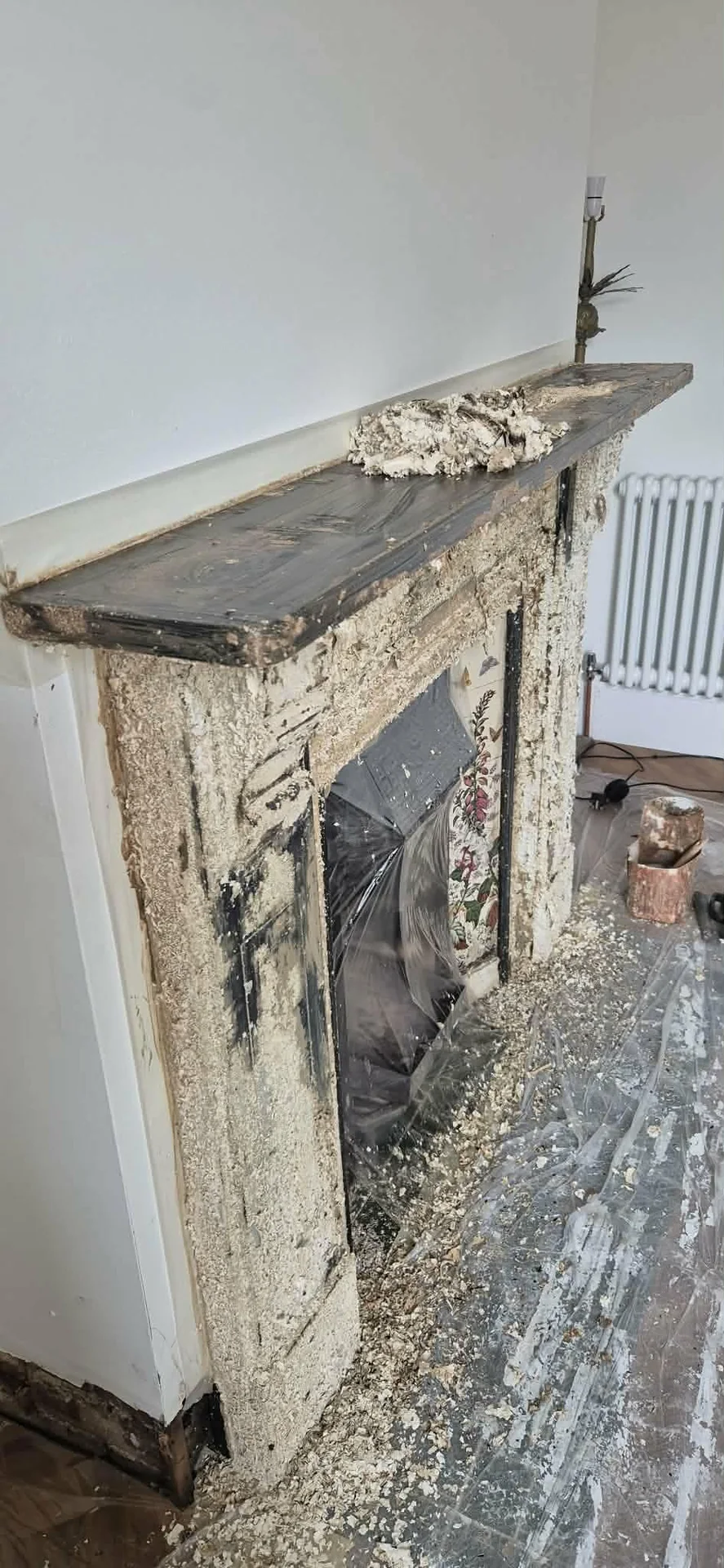 Onsite Stripping stripped by Global Door Stripping