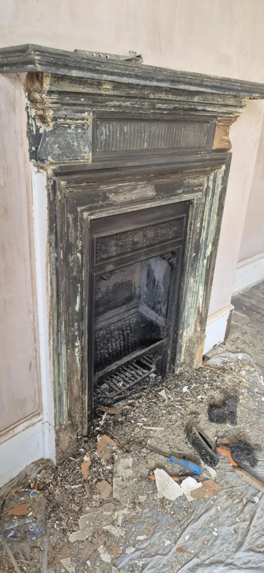 Onsite Stripping stripped by Global Door Stripping