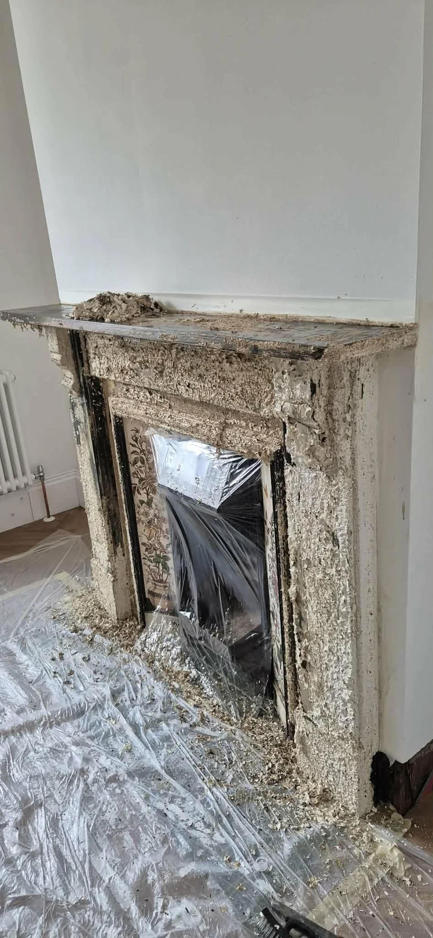 Onsite Stripping stripped by Global Door Stripping